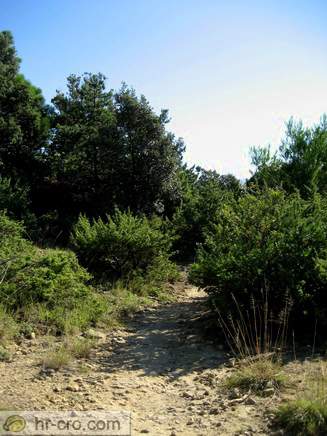 Rab Island - Stolac Beach