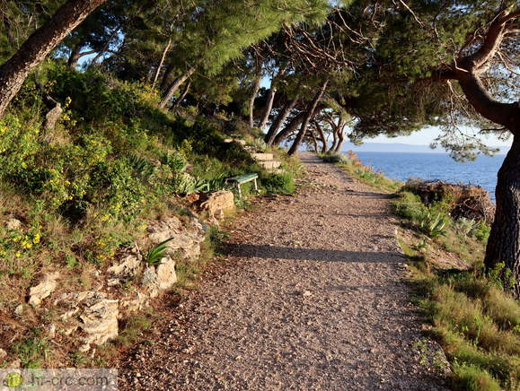 Forest Park Osejava at Makarska