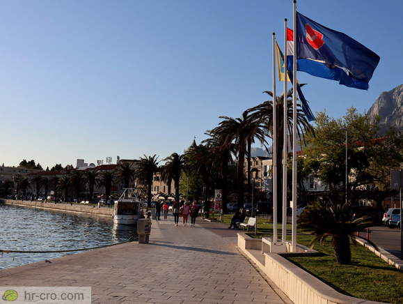 Pogled nazaj na rivo