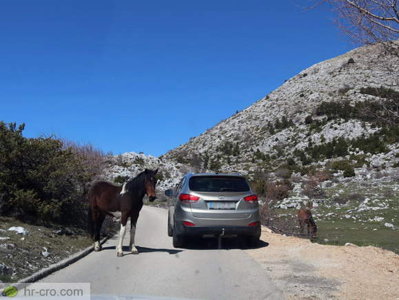 Biokovo Nature Park - Strasse