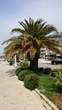 Riva - Palma 