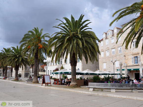 Riva z osnovno šolo v ozadju