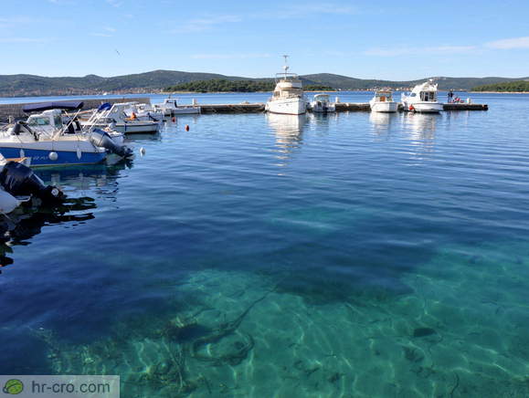 City Port (Gradska luka)