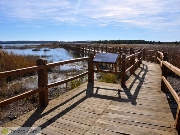 Information board - Beaches for bird travellers