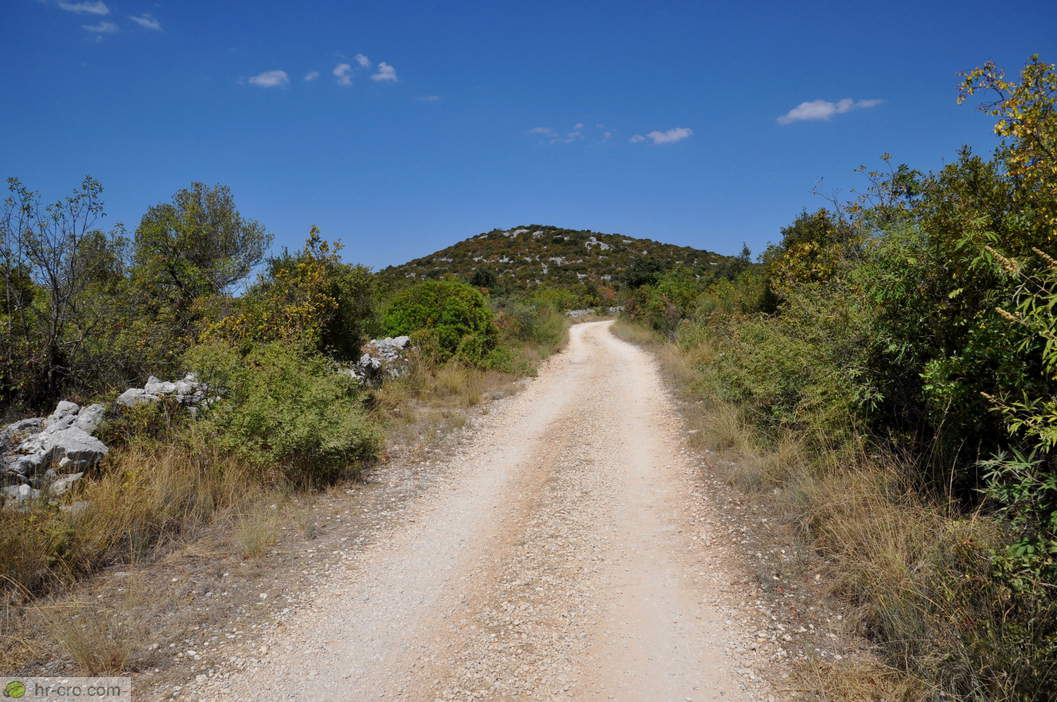 Gravel path through the karst scrub