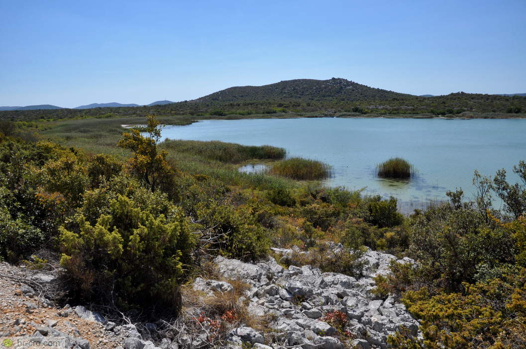 Wetland beside the path to Babin Škoj