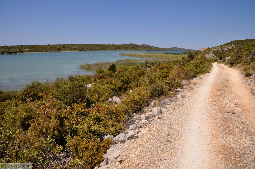 Path beside a lake inlet