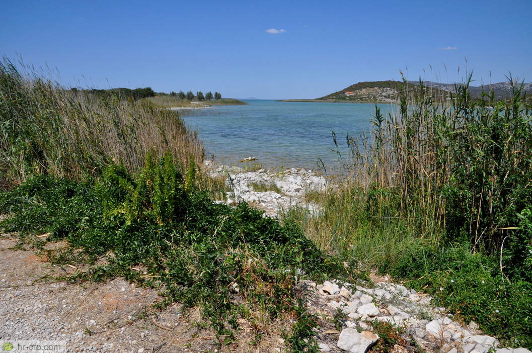 Shore of Vransko Lake on the return path