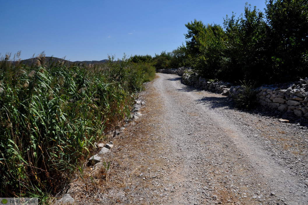 Pot od Prosike proti Jugovirju - Fotografija: 30350013-1 Pot od Prosike proti Jugovirju