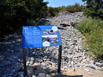Vransko jezero - Pridne roke - Vransko jezero - Pridne roke Vransko jezero - Pridne roke - Vransko jezero - Pridne roke