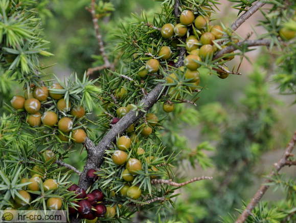 NP Paklenica - Mala Paklenica