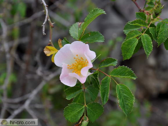 NP Paklenica - Mala Paklenica