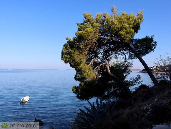 Pogled z obalne sprehajalne poti