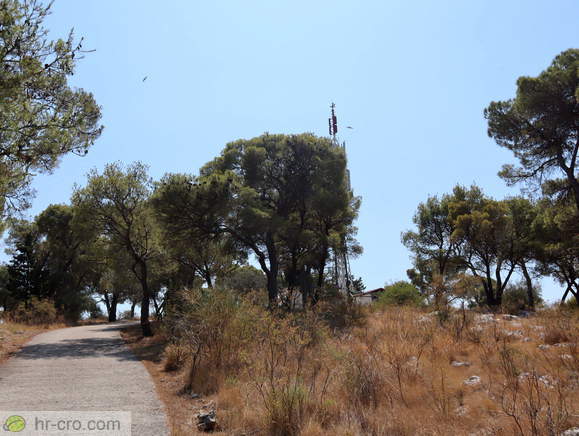 Rogoznica - Lavendellabyrinth