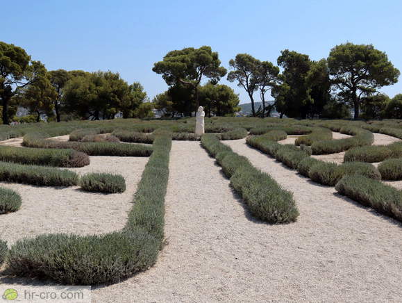 Rogoznica - Lavendellabyrinth