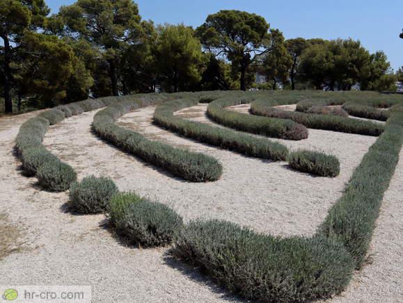 Rogoznica - Lavendellabyrinth