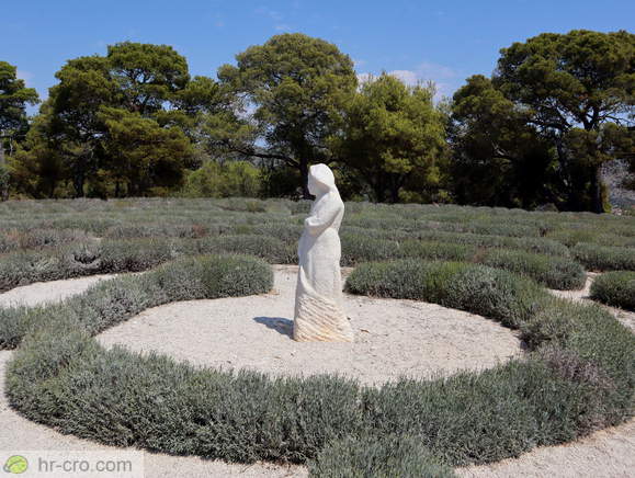 Rogoznica - Lavendellabyrinth