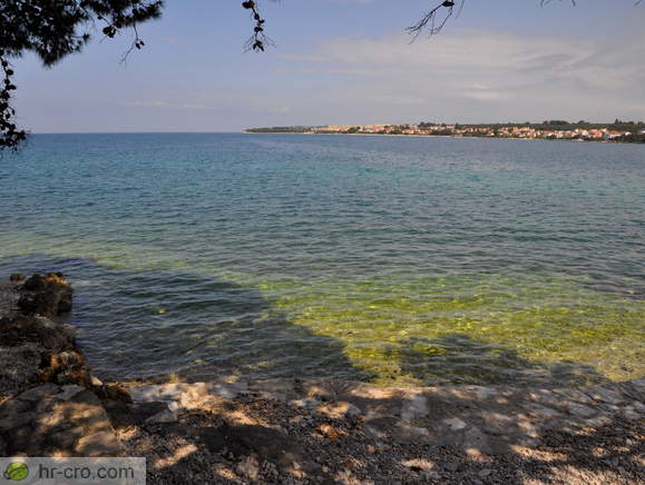 View of Petrcane on the other side of the bay