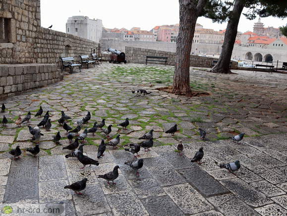 Dubrovnik - Festung Revelin