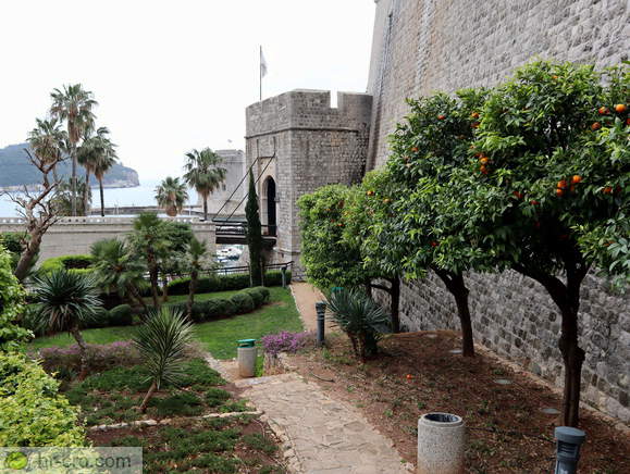 Dubrovnik - Park am Ploce-Tor