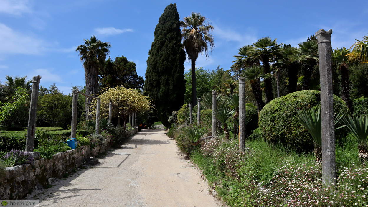 Avenue through the formal part of the garden