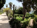 Gučetić-Gozze Summer Residence - Terrace with tall palms beside the residence 
