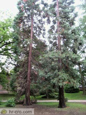 Zagreb - Botanische Garten