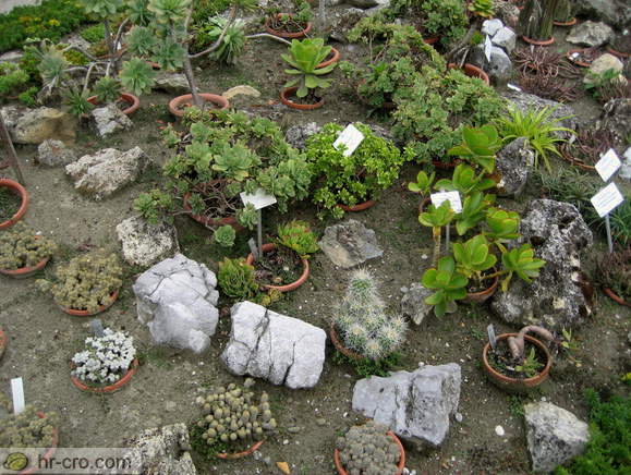 Zagreb - Botanische Garten