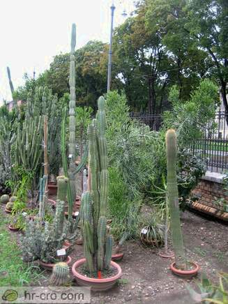 Zagreb - Botanische Garten