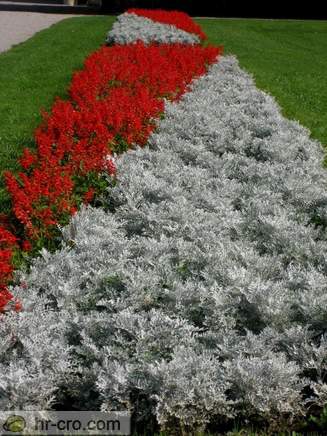 Zagreb - Trg Kralja Tomislava