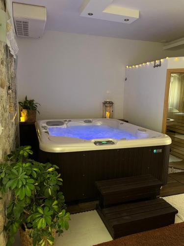Luxury Apartment Spa "Marina"