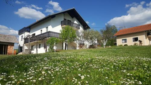 Apartment Silvia