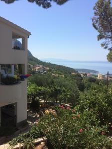 Apartments Panorama