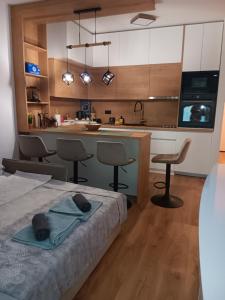 Studio apartman Hušnjakovo Hill