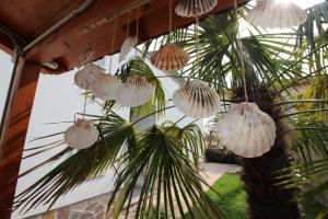 Apartment Umag