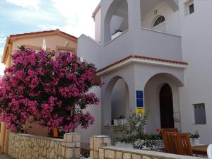 Apartment Pag 16100c 