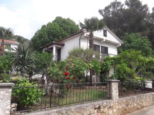 Apartman Barbara 
