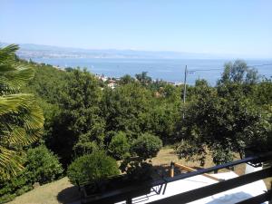 APARTMAN VIDA 2 