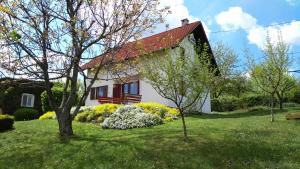 Guest House Kolić