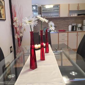 Apartments Stakic