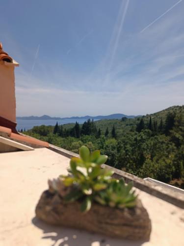 Villa Fragola 2