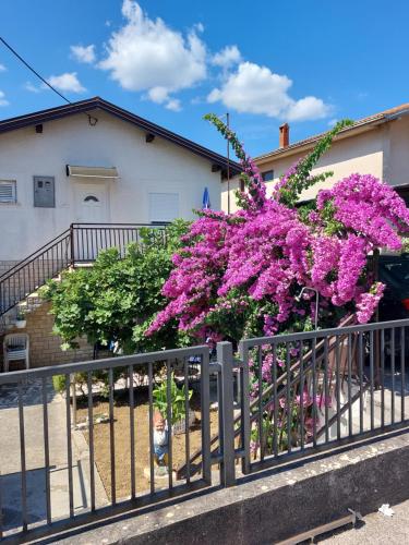 Apartment Borik