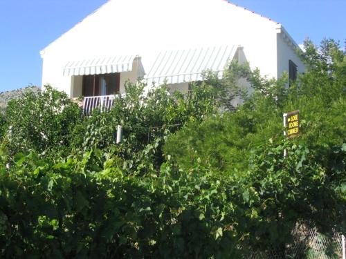 Guest House Kola Guest House Kola