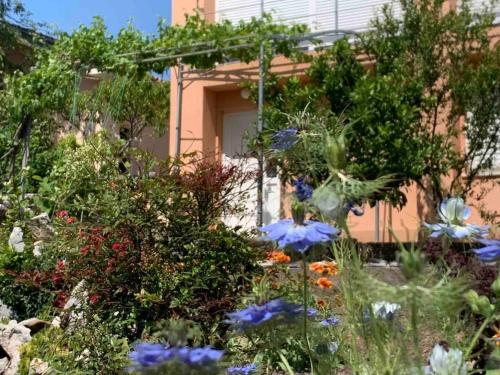 Studio Apartman Tena sa terasom i pogledom na more Studio Apartman Tena sa terasom i pogledom na more