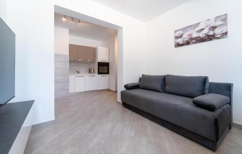 Awesome Apartment In Pridraga With Wifi