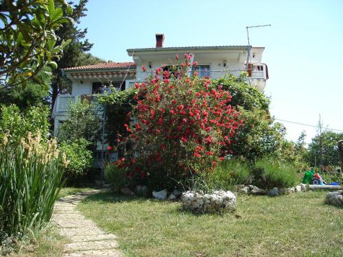 Apartments with a parking space Kampor, Rab - 5014 Apartments with a parking space Kampor, Rab - 5014