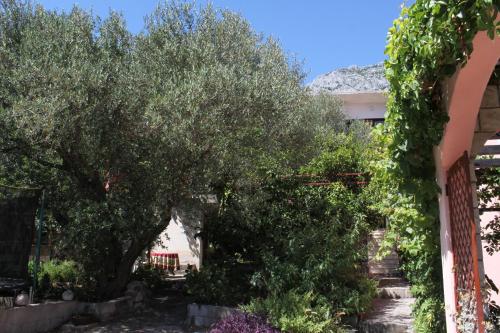 Apartments with a parking space Tucepi, Makarska - 6775 Apartments with a parking space Tucepi, Makarska - 6775