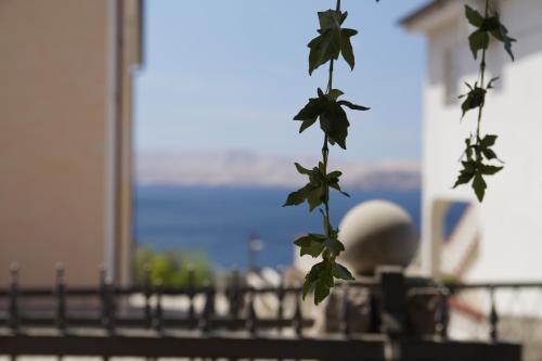 Apartmenthaus Hana