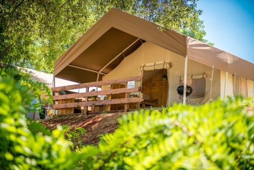 Sunflower Camping Sunflower Camping