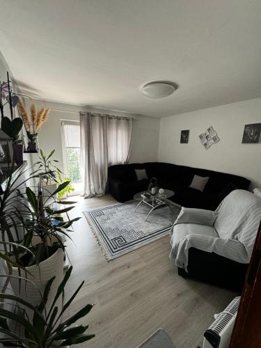 Apartment Danijela Apartment Danijela